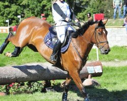 Pferd Urleven Barnaul Sl (Holsteiner, 2007, von Urleven Pironniere)