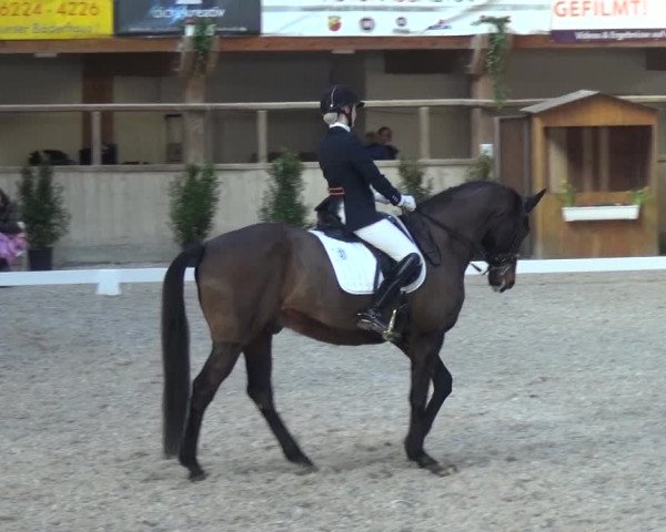 Reitturnier Heidelberg-Kirchheim 2019