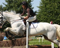 broodmare Jacaranda du Coty (Selle Français, 1997, from Calypso d'Herbiers)