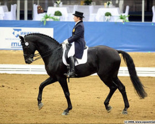 stallion Walchensee (Hanoverian, 1996, from Weltmeyer)