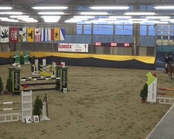 Reitturnier Erlen 2019
