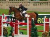 jumper Bottom Line (Belgian Warmblood, 1999, from Sheyenne de Baugy)