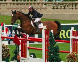 jumper Bottom Line (Belgian Warmblood, 1999, from Sheyenne de Baugy)