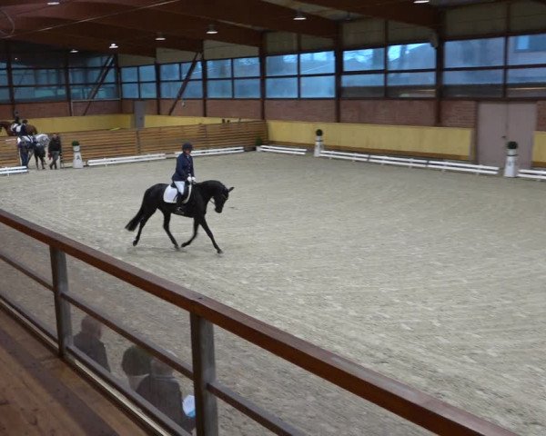 Reitturnier Hamburg-Friedrichshulde/Sylva Kuhrt 2021