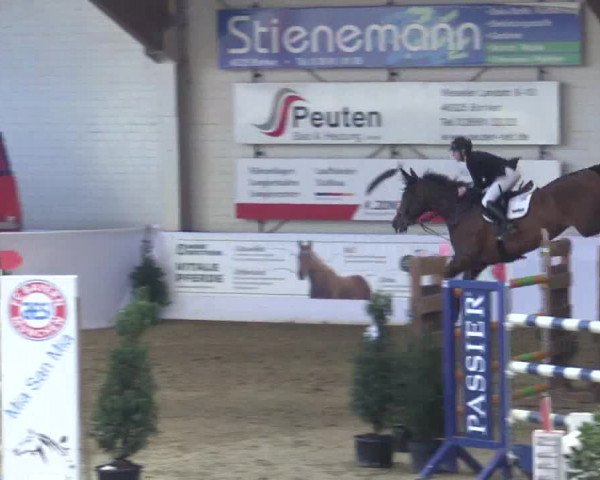 Reitturnier Borken 2019
