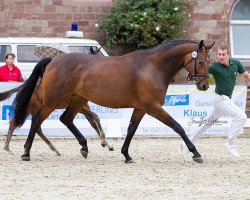 broodmare Sierra Leone 4 (Zweibrücken, 2010, from Stockholm)