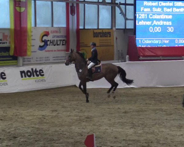 Reitturnier Borken 2019