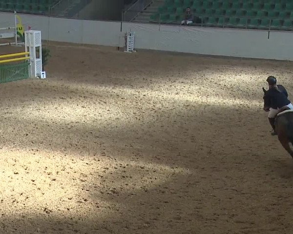 Reitturnier Kreuth/Opf. 2019