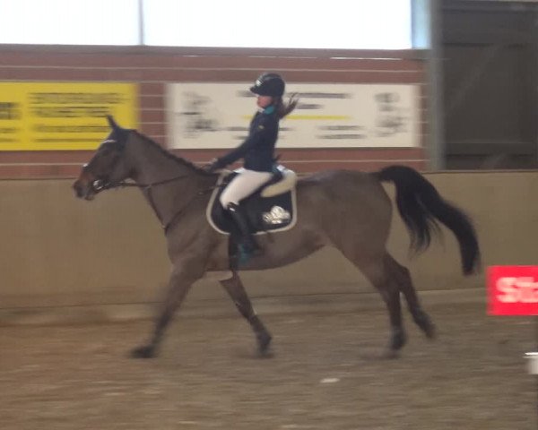 Reitturnier Lembeck 2019