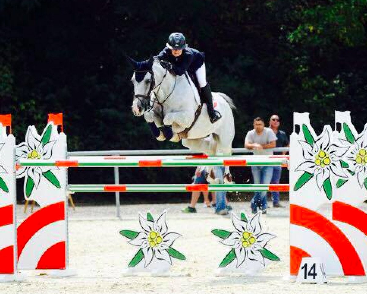 broodmare Golden Magic C (Belgian Warmblood, 2006, from Cabrio van de Heffinck)