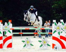 Zuchtstute Golden Magic C (Belgisches Warmblut, 2006, von Cabrio van de Heffinck)