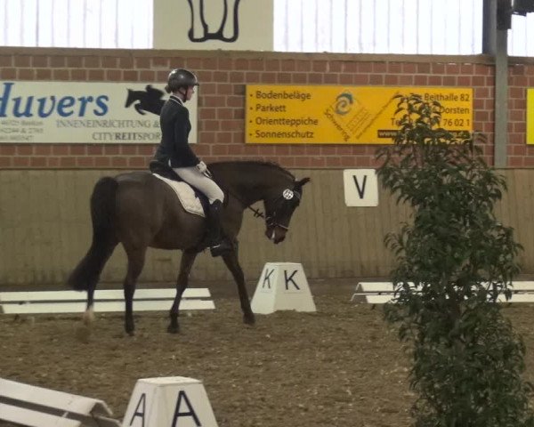 Reitturnier Lembeck 2019
