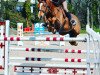 jumper Tango de May (French Pony, 2007, from Linaro)