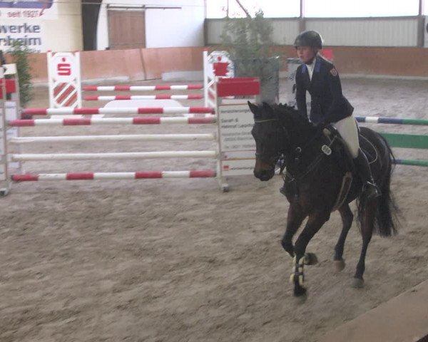 Reitturnier Viernheim 2019