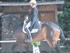 dressage horse Riverman 12 (Bavarian, 2004, from Rivero II)