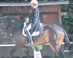 dressage horse Riverman 12 (Bavarian, 2004, from Rivero II)