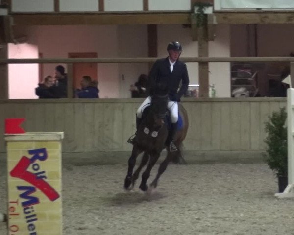 Reitturnier Heidelberg-Kirchheim 2019
