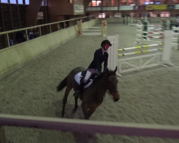 Reitturnier Heidelberg-Kirchheim 2019