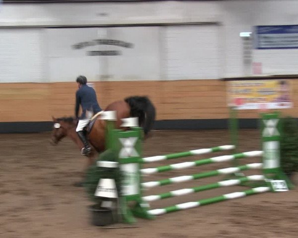 Reitturnier Heide 2019