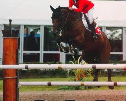 jumper Rose de Roche CH (Swiss Warmblood, 2004)