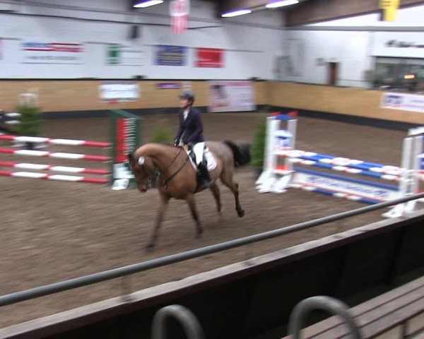 Reitturnier Heide 2019