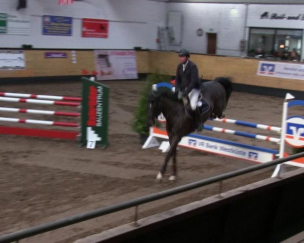 Reitturnier Heide 2019