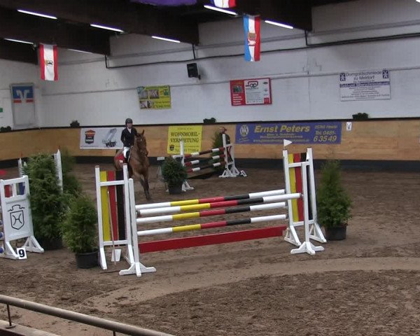 Reitturnier Heide 2019