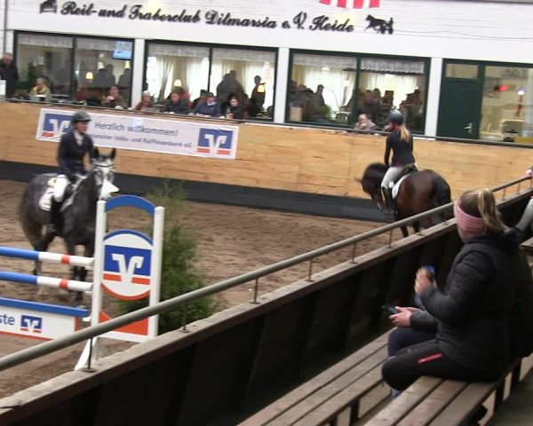 Reitturnier Heide 2019