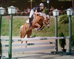 dressage horse Windspiel (German Riding Pony, 2010, from Notre Dame)