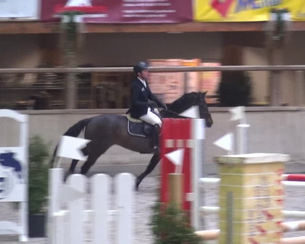 Reitturnier Heidelberg-Kirchheim 2019