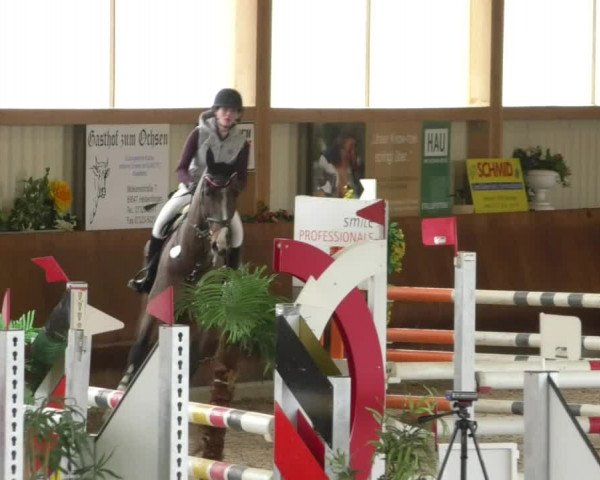 Reitturnier Dettingen 2019