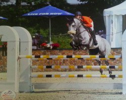 jumper Cassanova (KWPN (Royal Dutch Sporthorse), 2007, from Lucky Boy)