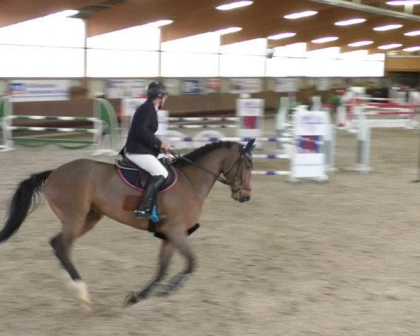 Reitturnier Dettingen 2019
