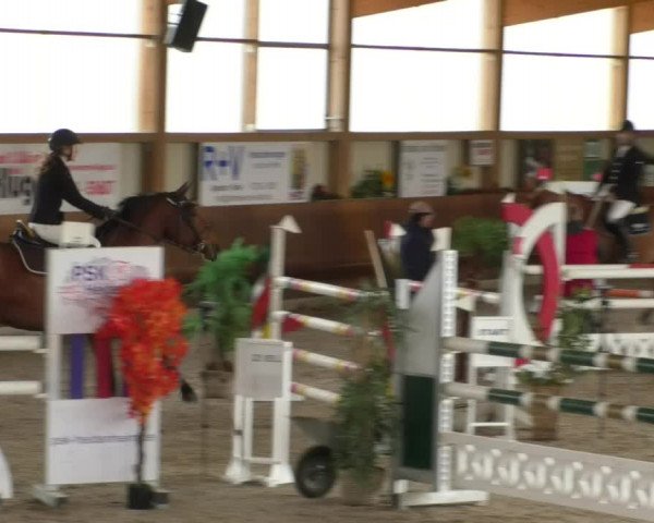 Reitturnier Dettingen 2019