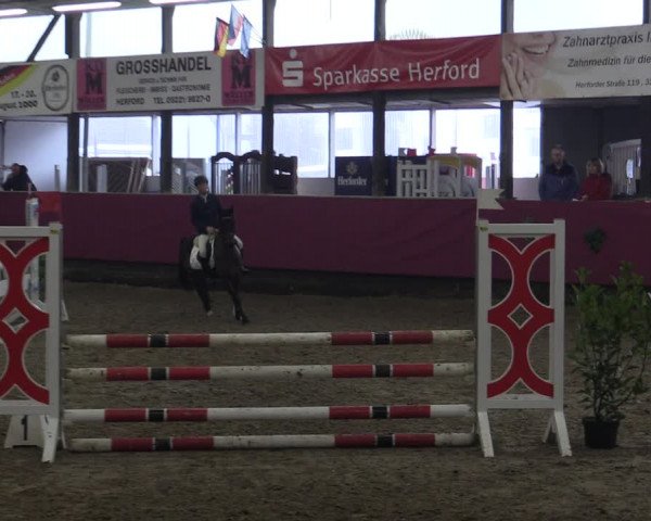 Reitturnier Vlotho-Exter 2019