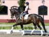 dressage horse Deela Mae (Westphalian, 1999, from De Niro)