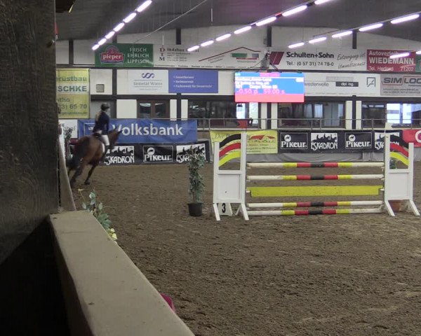 Reitturnier Vlotho-Exter 2019