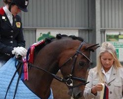 Dressurpferd Der Kleine Lord (Deutsches Reitpony, 2004, von Der feine Lord AT)