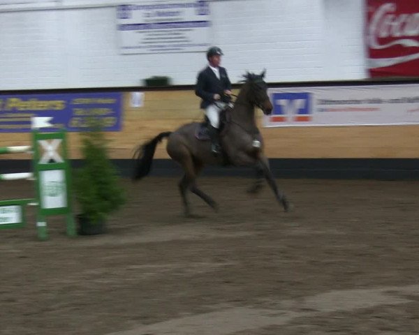 Reitturnier Heide 2019