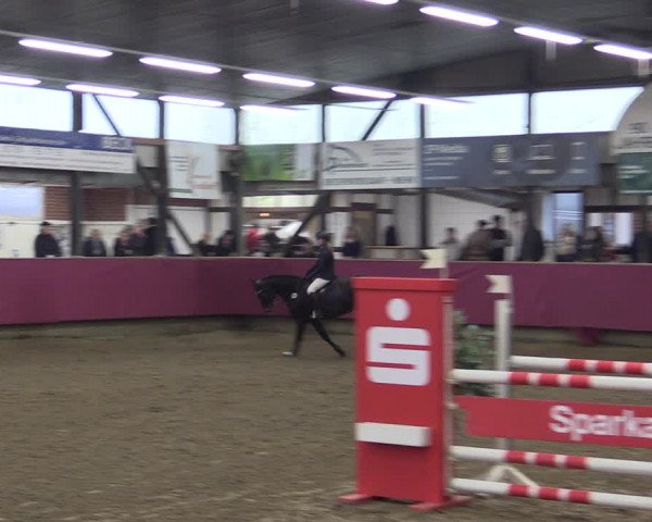 Reitturnier Vlotho-Exter 2019