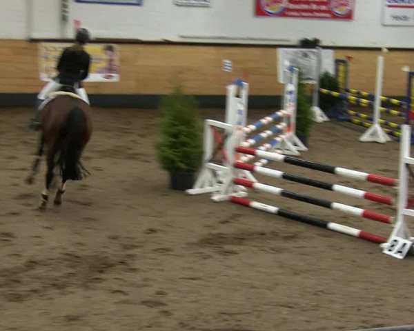 Reitturnier Heide 2019
