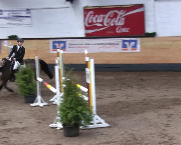 Reitturnier Heide 2019
