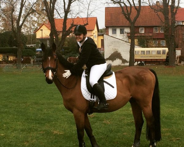 dressage horse Fürst Adalbert von Falkenstein (Hanoverian, 2009, from First Pleasure)