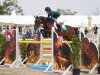 jumper Attyrory Rebel (Irish Sport Horse, 2006)