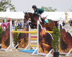 jumper Attyrory Rebel (Irish Sport Horse, 2006)