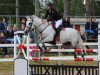 jumper Tullibards Piaf (Irish Sport Horse, 2004)