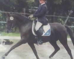 broodmare Magic Mara (German Riding Pony, 1995, from Merlin)