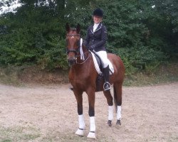 dressage horse Upshalan P (Westphalian, 1998, from Upan la Jarthe AA)