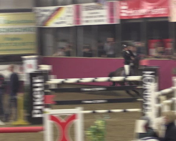 Reitturnier Vlotho-Exter 2019