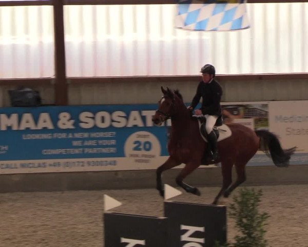 Nordic Jumping events 2019